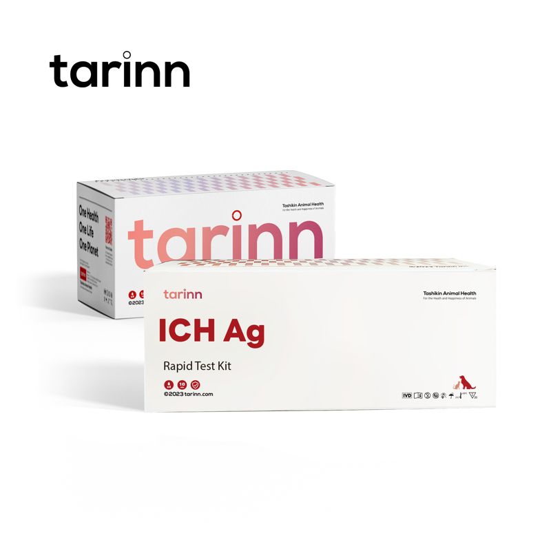 ICH Ag Test Kits